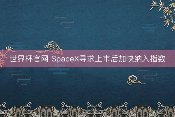世界杯官网 SpaceX寻求上市后加快纳入指数
