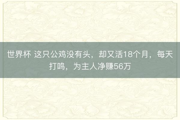 世界杯 这只公鸡没有头,却又活18个月,每天打鸣,为主人净赚56万
