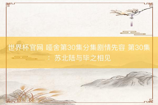 世界杯官网 哑舍第30集分集剧情先容 第30集:苏北陆与毕之相见