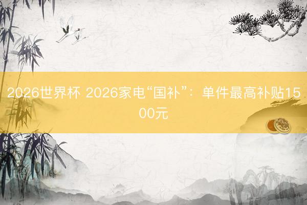 2026世界杯 2026家电“国补”：单件最高补贴1500元