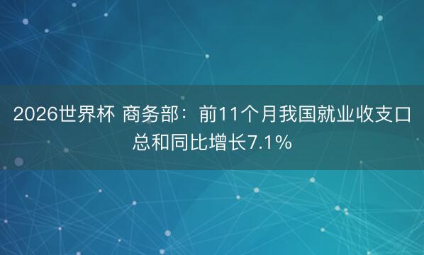 2026世界杯 商务部：前11个月我国就业收支口总和同比增长7.1%
