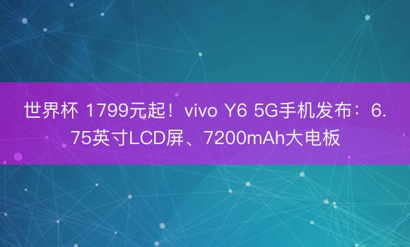 世界杯 1799元起！vivo Y6 5G手机发布：6.75英寸LCD屏、7200mAh大电板