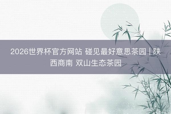 2026世界杯官方网站 碰见最好意思茶园 | 陕西商南 双山生态茶园