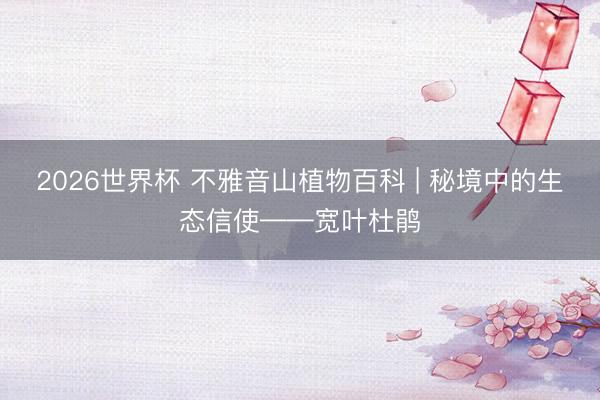 2026世界杯 不雅音山植物百科 | 秘境中的生态信使——宽叶杜鹃