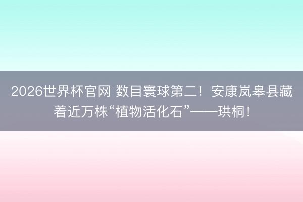 2026世界杯官网 数目寰球第二！安康岚皋县藏着近万株“植物活化石”——珙桐！