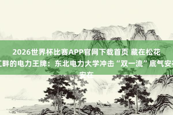 2026世界杯比赛APP官网下载首页 藏在松花江畔的电力王牌：东北电力大学冲击“双一流”底气安在