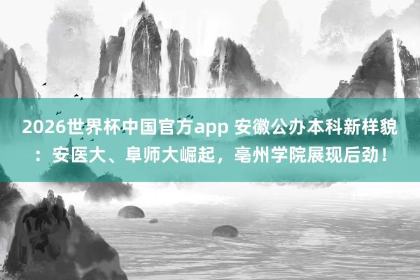 2026世界杯中国官方app 安徽公办本科新样貌：安医大、阜师大崛起，亳州学院展现后劲！