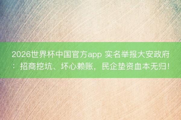 2026世界杯中国官方app 实名举报大安政府：招商挖坑、坏心赖账，民企垫资血本无归！