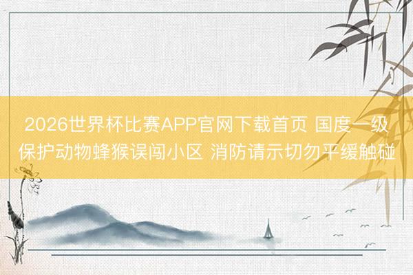 2026世界杯比赛APP官网下载首页 国度一级保护动物蜂猴误闯小区 消防请示切勿平缓触碰