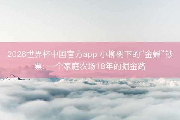 2026世界杯中国官方app 小柳树下的“金蝉”钞票: 一个家庭农场18年的掘金路