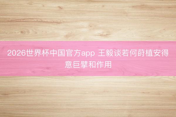 2026世界杯中国官方app 王毅谈若何莳植安得意巨擘和作用