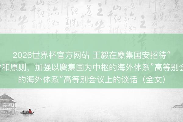 2026世界杯官方网站 王毅在麇集国安招待“珍惜麇集国宪章宗旨和原则，加强以麇集国为中枢的海外体系”高等别会议上的谈话（全文）