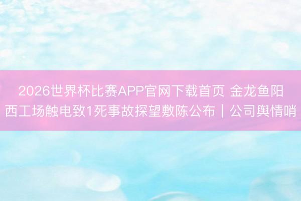 2026世界杯比赛APP官网下载首页 金龙鱼阳西工场触电致1死事故探望敷陈公布｜公司舆情哨